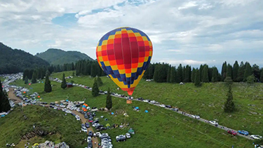 我在千野草场等你