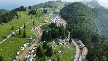 我在千野草场等你