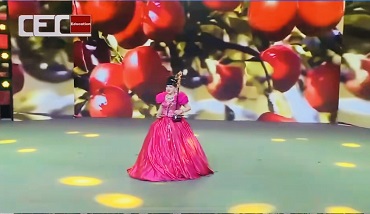 由毛红波制作的音乐登上了2026中国国际教育电视台春晚