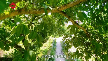 毛红波《大美乡村》白石版MV，取景：外坝小桥