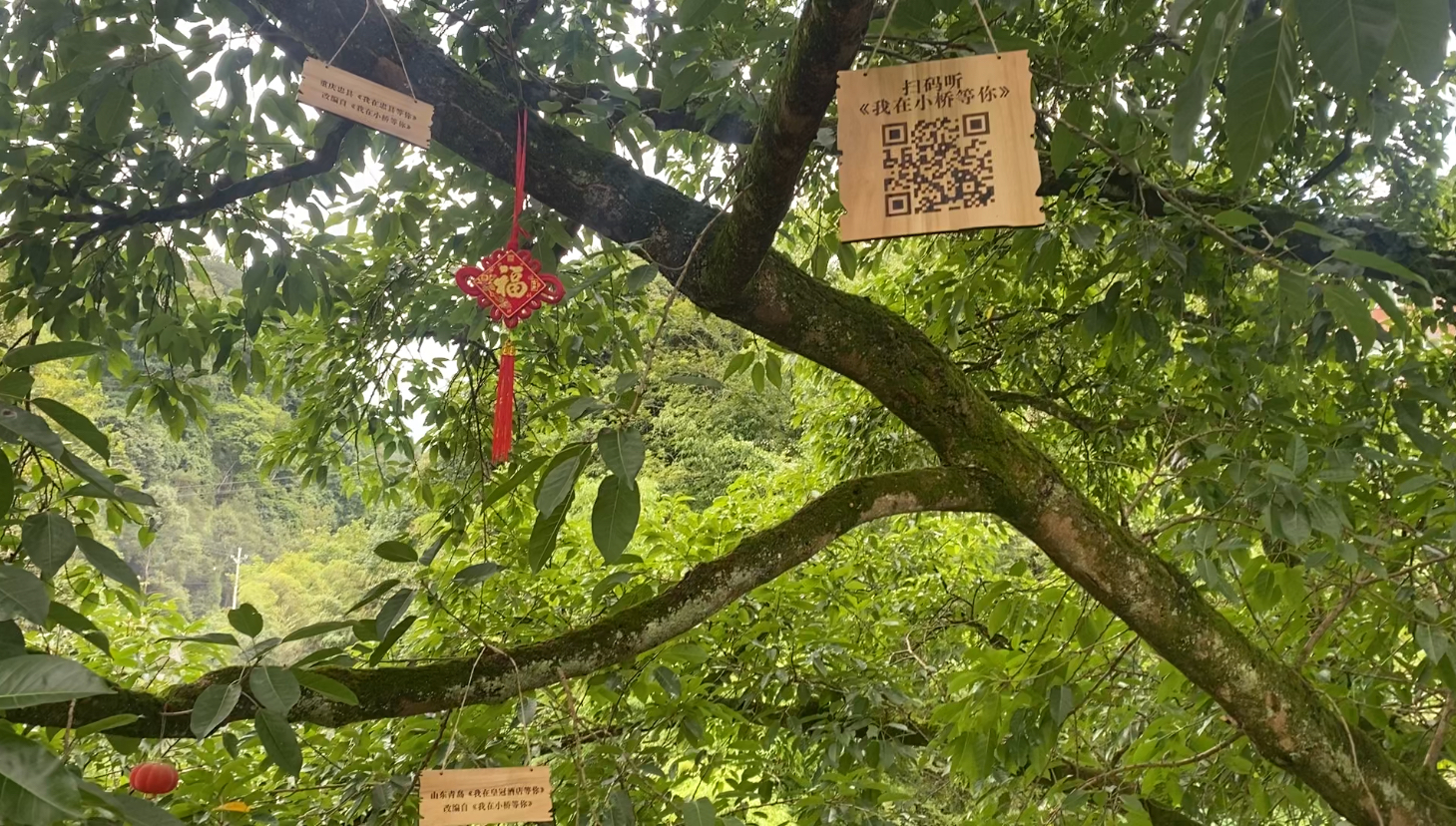 毛红波匠心打造外坝小桥乡土文旅新名片