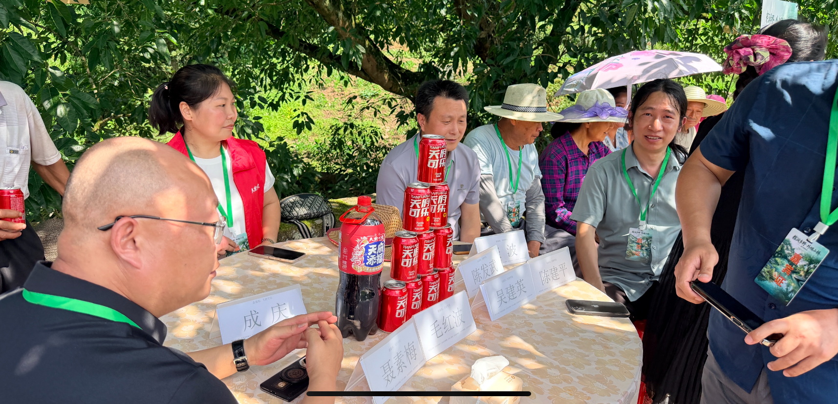 毛红波匠心打造外坝小桥乡土文旅新名片